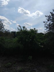 Продається будинок Щаслива, Липовецький, Вінницька фото 3 Продається будинок Щаслива, Липовецький, Вінницька фото 3