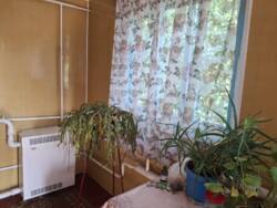 Продається будинок Вінницька, Хмільникський, Хутора-Кривошеїнські фото 3 Продається будинок Вінницька, Хмільникський, Хутора-Кривошеїнські фото 3