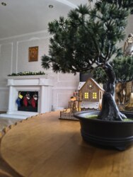 ��������� ������� ������, ³�����, ³�������, ������� ���� ���� 13