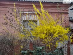 Продається будинок Вінницька, Вінниця, Ближнє замостя, Некрасова, 71 фото 2 Продається будинок Вінницька, Вінниця, Ближнє замостя, Некрасова, 71 фото 2