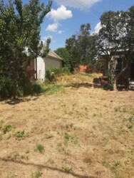 ��������� ������� ³�����, ³������� ���� 2