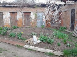 Продається будинок Вінницька, Вінниця, Ближнє замостя, Некрасова, 71 фото 3 Продається будинок Вінницька, Вінниця, Ближнє замостя, Некрасова, 71 фото 3