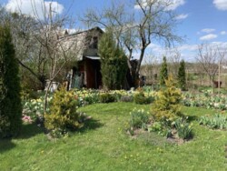 ��������� ������� �.������, ³�����, ³������� ���� 4