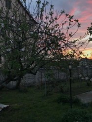 Продається будинок Вінницька, Вінницький, Якушинці фото 4 Продається будинок Вінницька, Вінницький, Якушинці фото 4