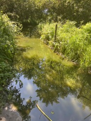 Продається будинок Вінницька, Літинський, Петрик, Рибаче фото 2 Продається будинок Вінницька, Літинський, Петрик, Рибаче фото 2