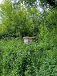 ��������� ������� ˳���� ������, ������������, ³������� ���� 10