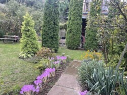 ��������� ������� �.������, ³�����, ³������� ���� 19