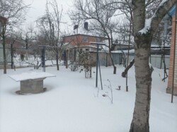 ��������� ������� ³�����, ³������� ���� 8