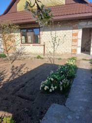 Продається будинок Вінницька, Вінницький, Прибузьке, Шевченка фото 10 Продається будинок Вінницька, Вінницький, Прибузьке, Шевченка фото 10