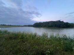 Продається будинок Вінницька, Літинський, Дашківці, Вишнева фото 9 Продається будинок Вінницька, Літинський, Дашківці, Вишнева фото 9