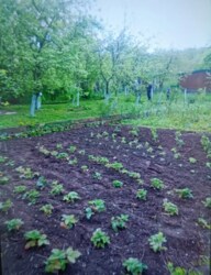 Продається будинок Миколаївська, Березаньський, Краснопілля, Річна, 24 фото 3 Продається будинок Миколаївська, Березаньський, Краснопілля, Річна, 24 фото 3