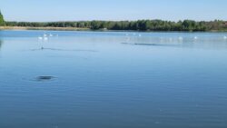 Продається будинок Вінницька, Барський, Підлісний Ялтушків, Черешнева фото 16 Продається будинок Вінницька, Барський, Підлісний Ялтушків, Черешнева фото 16