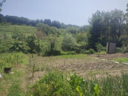 ��������� ������� ������, ³�����, ³�������, ����� ���� ���� 24