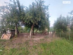 ��������� ������� ������, �����������, ³������� ���� 8