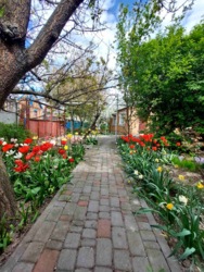 Продається будинок Вінницька, Вінниця, Бучми, Ганта Юри фото 4 Продається будинок Вінницька, Вінниця, Бучми, Ганта Юри фото 4