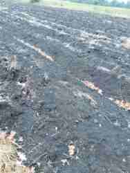 Продається будинок Вінницька, Немирівський, Остапківці фото 8 Продається будинок Вінницька, Немирівський, Остапківці фото 8