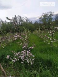 Продається будинок Вінницька, Вінницький, Широка Гребля фото 10 Продається будинок Вінницька, Вінницький, Широка Гребля фото 10