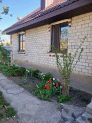 Продається будинок Вінницька, Вінницький, Прибузьке, Шевченка фото 9 Продається будинок Вінницька, Вінницький, Прибузьке, Шевченка фото 9