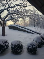 ��������� ������� ������, ³�����, ³�������, ������� ���� ���� 11