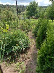 Продається будинок Вінницька, Вінниця, Сабарів фото 2 Продається будинок Вінницька, Вінниця, Сабарів фото 2