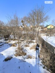 ��������� ������� ����� �����, ³�����, ³�������, �'�������� ���� 5