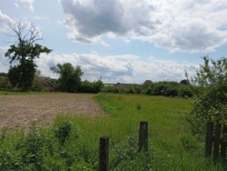 ��������� ������� ˳���� ������, ������������, ³������� ���� 11