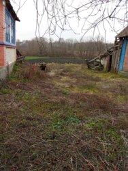 ��������� ������� �������, �����������, ³������� ���� 5