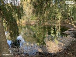 Продається будинок Вінницька, Вінниця, Старе місто, шепеля фото 4 Продається будинок Вінницька, Вінниця, Старе місто, шепеля фото 4