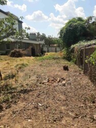 ��������� ������� ³�����, ³������� ���� 5