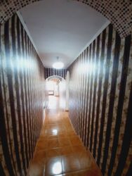 ��������� ������� ������� 220 ��� �� ������ ˳����. ���� 14