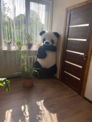 Продам дом с евроремонтом S - 140 м в кооп-ве ' Джерело / Сухой Лиман. фото 13 Продам дом с евроремонтом S - 140 м в кооп-ве ' Джерело / Сухой Лиман. фото 13