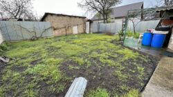 ��� � 2.5 ���. � ������ ��. �����������. ���� 2