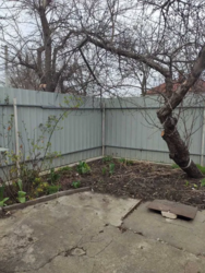 Продається окремостоящий будинок в районі Завадівка фото 3 Продається окремостоящий будинок в районі Завадівка фото 3