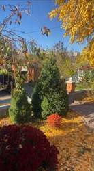 ������������� ������� ���. ����������. ���� 1