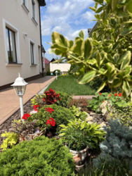 Продається ново будова 2020 року фото 5 Продається ново будова 2020 року фото 5