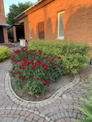 Продаєтся будинок в районі Новомиколаївки фото 6 Продаєтся будинок в районі Новомиколаївки фото 6