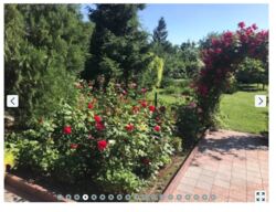 Продам дім Центр фото 5 Продам дім Центр фото 5