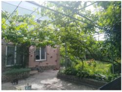 Продам дом п.Новый фото 2 Продам дом п.Новый фото 2