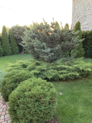 Продаєтся будинок в районі Новомиколаївки фото 4 Продаєтся будинок в районі Новомиколаївки фото 4