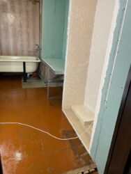 Приватний будинок, Стара Балашівка. фото 13 Приватний будинок, Стара Балашівка. фото 13