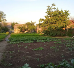 Продаєтся будинок в районі Нова Балашовка фото 5 Продаєтся будинок в районі Нова Балашовка фото 5