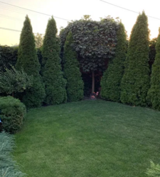 Продаєтся будинок в районі Новомиколаївки фото 3 Продаєтся будинок в районі Новомиколаївки фото 3