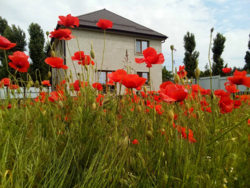 Продаєтся будинок в районі Лелеківка фото 1 Продаєтся будинок в районі Лелеківка фото 1