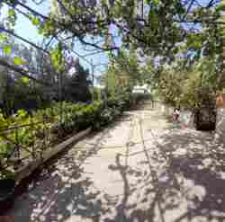 Продається двоповерховий будинок в Соколівському фото 14 Продається двоповерховий будинок в Соколівському фото 14