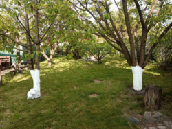 Продається будинок в районі Молодіжний, велика земельна ділянка фото 7 Продається будинок в районі Молодіжний, велика земельна ділянка фото 7