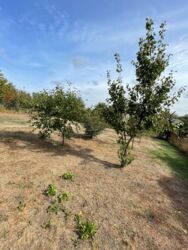 Приватний будинок, Стара Балашівка. фото 9 Приватний будинок, Стара Балашівка. фото 9