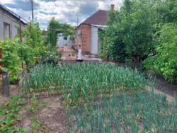 Продається будинок в районі Арнайтово фото 18 Продається будинок в районі Арнайтово фото 18