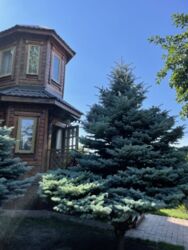 Продається будинок в районі Стара Балашівка фото 4 Продається будинок в районі Стара Балашівка фото 4