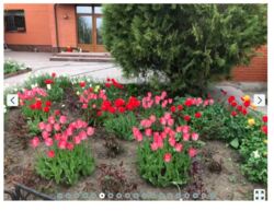 Продам дім Центр фото 7 Продам дім Центр фото 7