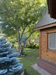 Продається будинок в районі Стара Балашівка фото 5 Продається будинок в районі Стара Балашівка фото 5